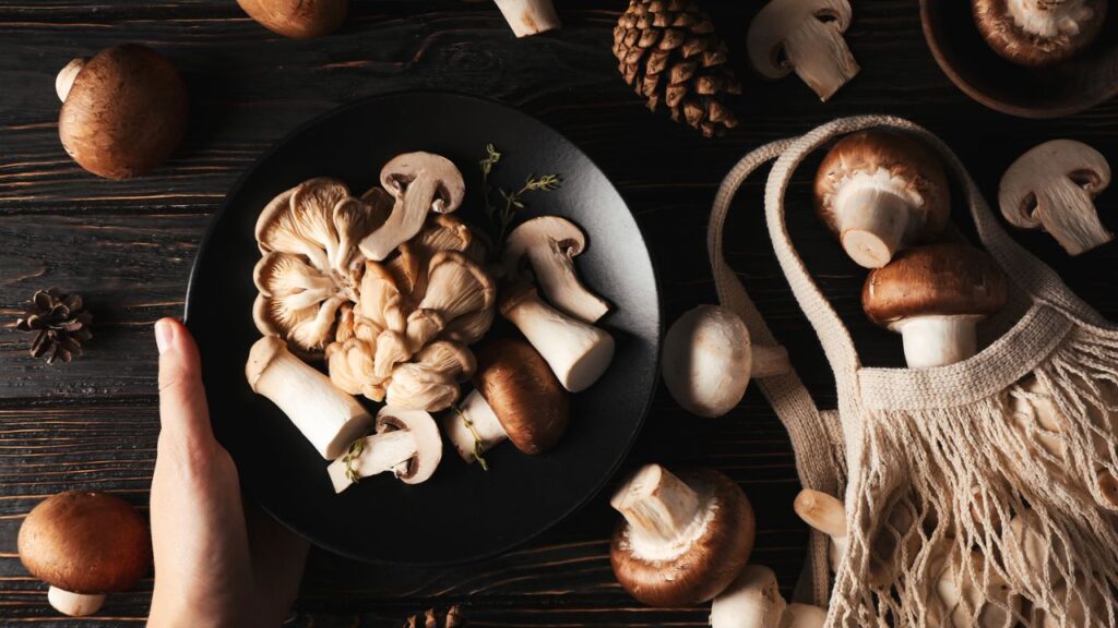 Shiitake